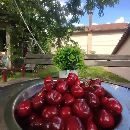 شقة Lejla 2 ترافنيك